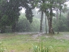 just-a-little-rain-must-fall